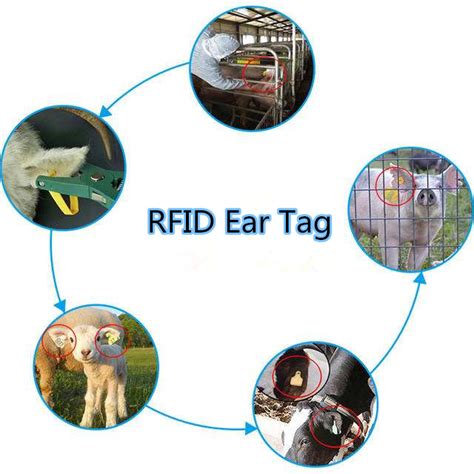 benefits of rfid ear tags|what are rfid tags.